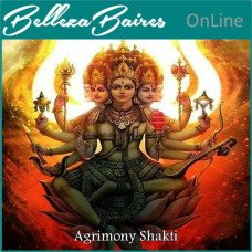 Curso Online de Sintonizacion Agrimony Shakti Nivel 1, 2 y Maestria