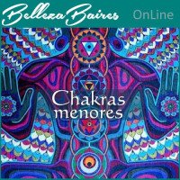 Curso Online de Chakras Secundarios mas Importantes