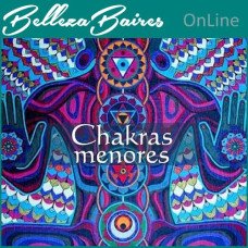 Curso Online de Chakras Secundarios mas Importantes