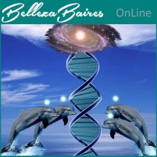 Curso Online de Sistema Delfinico de Sanación y Equilibrio