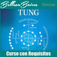 Curso Online de Master en Auriculoterapia TUNG - CON REQUISITOS